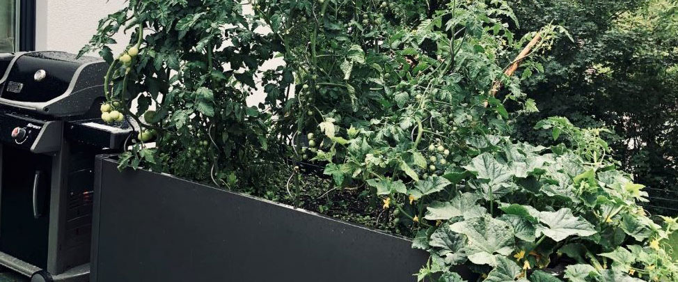 Hochbeete von Biohort  können Sie im Onlineshop von Wohn Schick kaufen